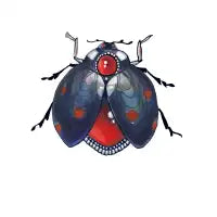ladybird - design