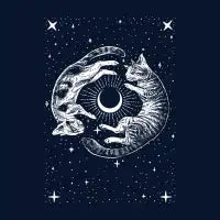 Celestial Cats - design