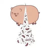 Pignata - design