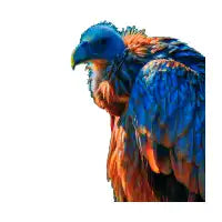 Bird - design