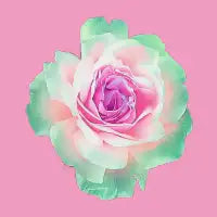 Bloom - design