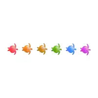 Rainbow Turtles - design