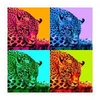 Pensive Wildcat - design