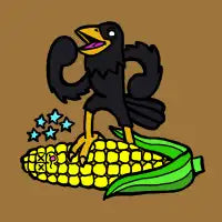 CROW CHOW! - design