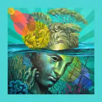 Island - design