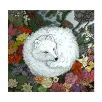 Arctic Fox - design
