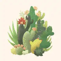 Cacti - design
