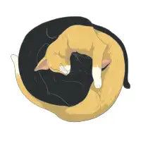 Cats - design