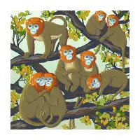 Monkeys - design
