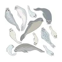 Seals - design
