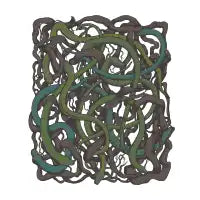 Snakes - design