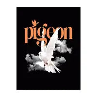 Elegant White Pigeon - design