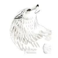 Alaskan Tundra Wolf head - design
