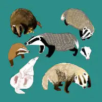Badgers of the World pattern in teal - design