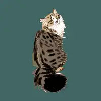 Cats paradise in teal - design