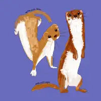 Funny Weasel Mustela Nivalis - design