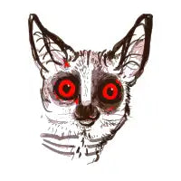 Galago with red eyes - design