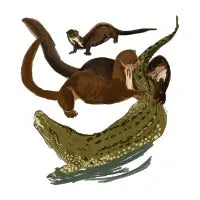 Giant Otter - design
