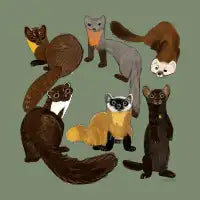 Martens of the World - design