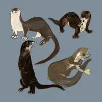 Old World Otters genus Lutra - design