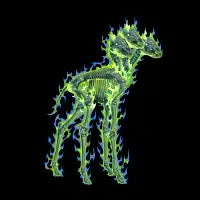 3 head horse - design