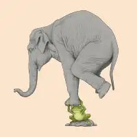 Strong frog - design