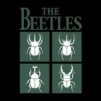 The beetles - design