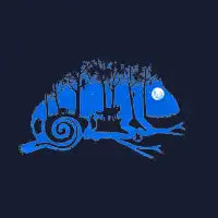 The Midnight Forest - design