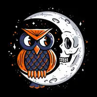 Moon Owl - design