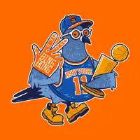 New York Pigeon - design