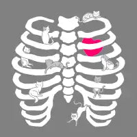 Cats and Bones - design