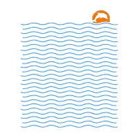 Dolphin Waves - design