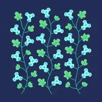 Flora Koala - design
