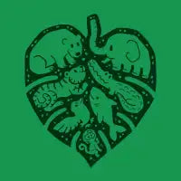 Green Harmony - design
