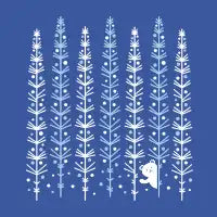 Hey Polar Bear - design