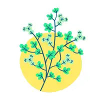 Koala Tree - design