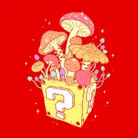 Mushroom Box - design