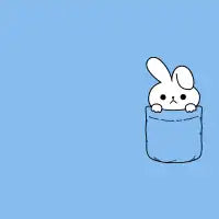 Pocket Bunny - design