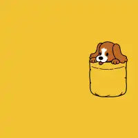 Pocket Doggo - design