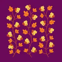 Squirrel Sprouts - design