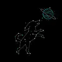 Star Barks - design