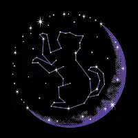Starlight Cat - design