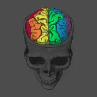 Open Minded - design