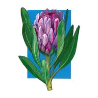 Ice Protea Blue Blocked - design
