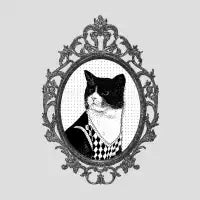 Catelegant - design