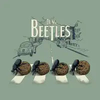 DUNG BEETLES - design