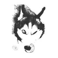 Husky - design