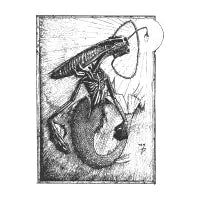 Xenomaid - design