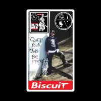 O.G. SToneY P. Pro model - design