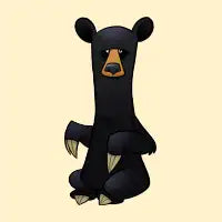 Black Bear - design